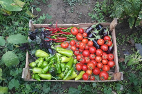 La Provincia impulsa sus sistemas productivos ecológicos desde las comunas