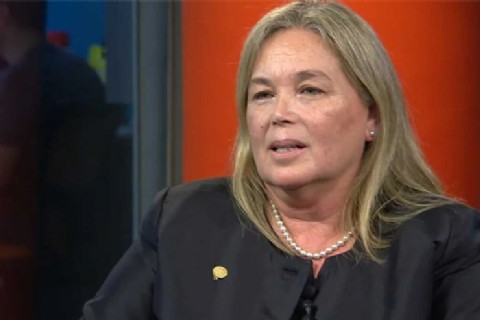 Frenaron en la Legislatura el tratamiento de las denuncias contra Susana Medina