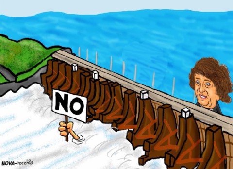 Benegas Lynch se manifestó a favor de privatizar Enersa y Salto Grande y desató la polémica en la provincia