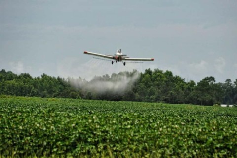 La Cámara de Senadores de la provincia busca sacar la Ley de Agroquímicos