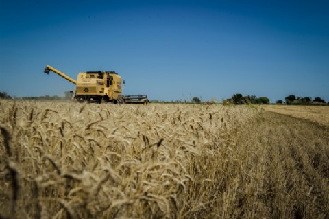 Las exportaciones de la provincia fueron las de mayor crecimiento en la Región Centro durante 2024