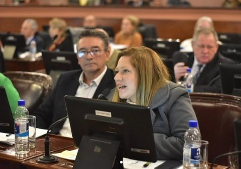 Impulsan proyecto de ley para equiparar licencias por adopción y paternidad