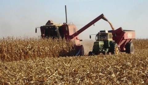 Impulso récord: Entre Ríos comercializó 17 por ciento más granos en 2025, con fuerte aporte de soja y trigo