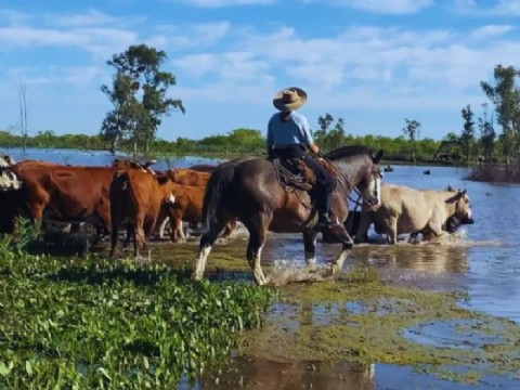 Crecida del río y ganadería en crisis: la provincia enfrenta una emergencia productiva y social