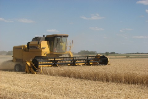 El volumen exportado por Entre Ríos creció un 19 por ciento en el primer bimestre de 2025