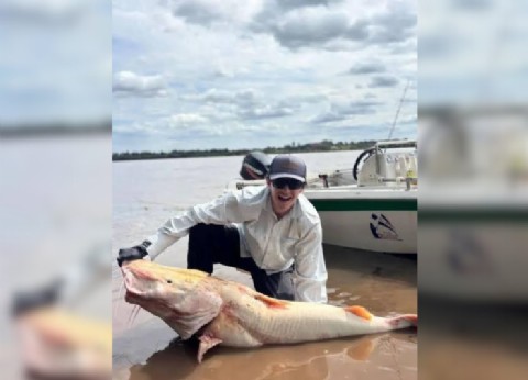 Asombro en Concordia: capturaron un surubí albino de 50 kilos y lo devolvieron al río Uruguay