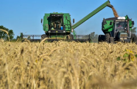 En Entre Ríos los rindes históricos no cubren los costos actuales de la producción agraria