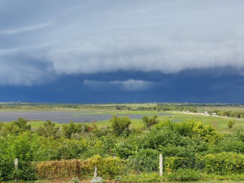 Alerta meteorológica: lluvias intensas y tormentas afectarán gran parte de la provincia