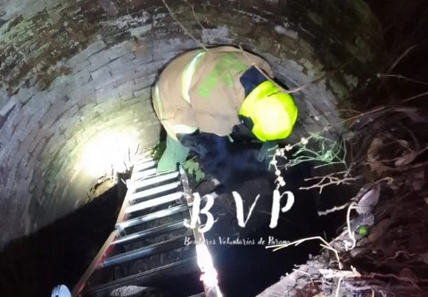 Paraná: rescataron un perro que había caído en un pozo negro