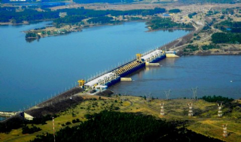 Alarma en el río: los carpinchos verdes encendieron la alerta ambiental