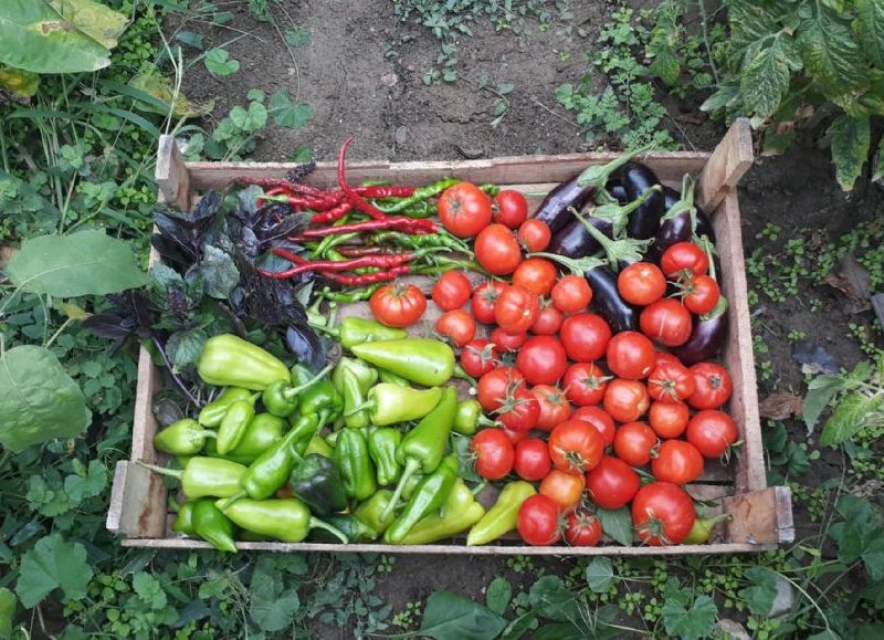 La Provincia impulsa sus sistemas productivos ecológicos desde las comunas