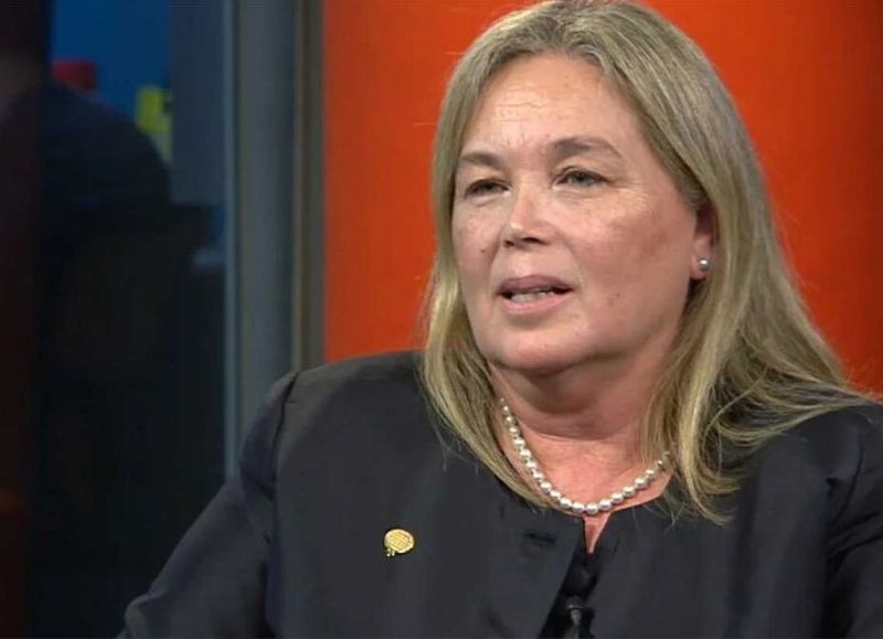 Frenaron en la Legislatura el tratamiento de las denuncias contra Susana Medina