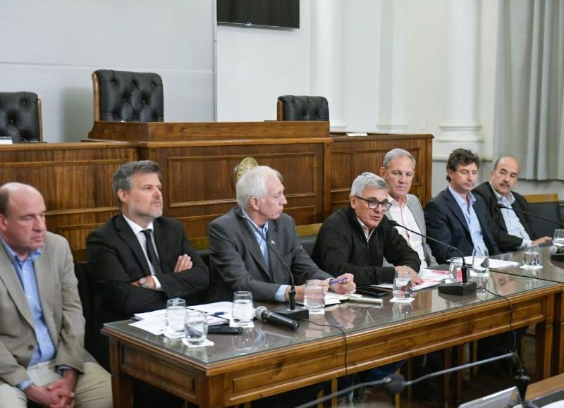 Senadores escucharon opiniones sobre la adhesión al RIGI y la creación del RINI