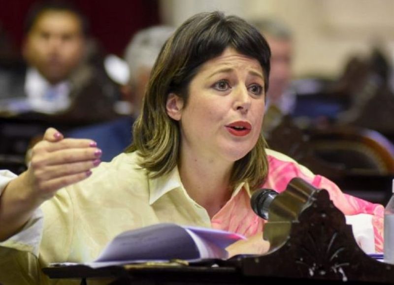 Gaillard solicita la nulidad del decreto que limita el acceso a la información pública