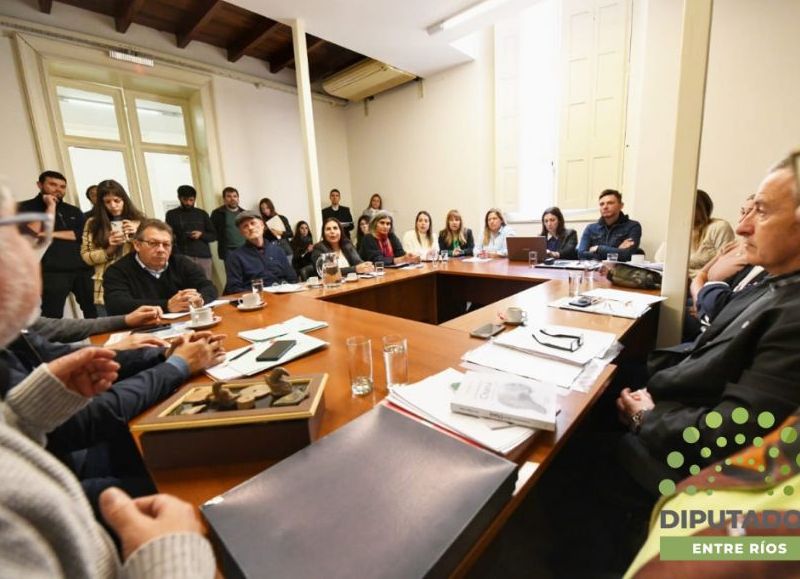 Impulsan un proyecto de ley para rescatar las culturas chaná y charrúa