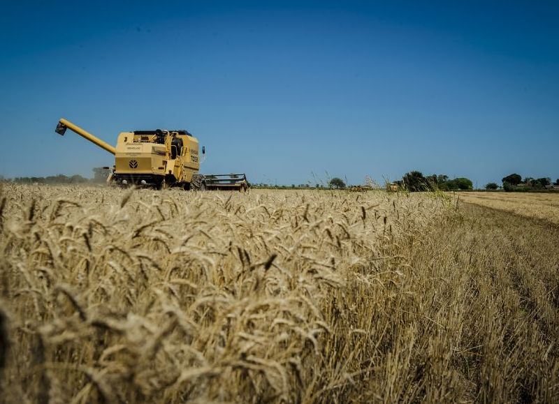 Las exportaciones de la provincia fueron las de mayor crecimiento en la Región Centro durante 2024