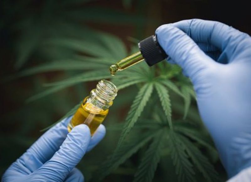 Crearon el Observatorio Cannabis en la UADER