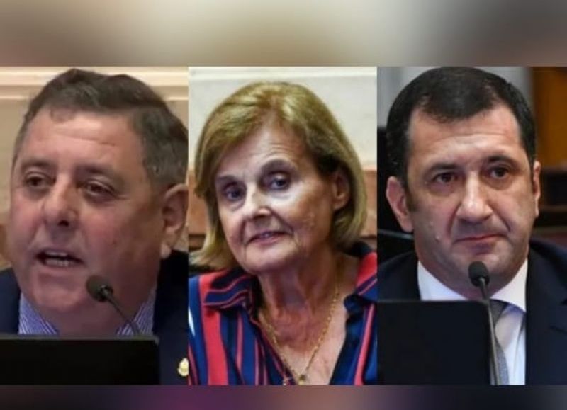 Los tres senadores de Entre Ríos que votaron a favor de la Ley Bases y el Paquete Fiscal