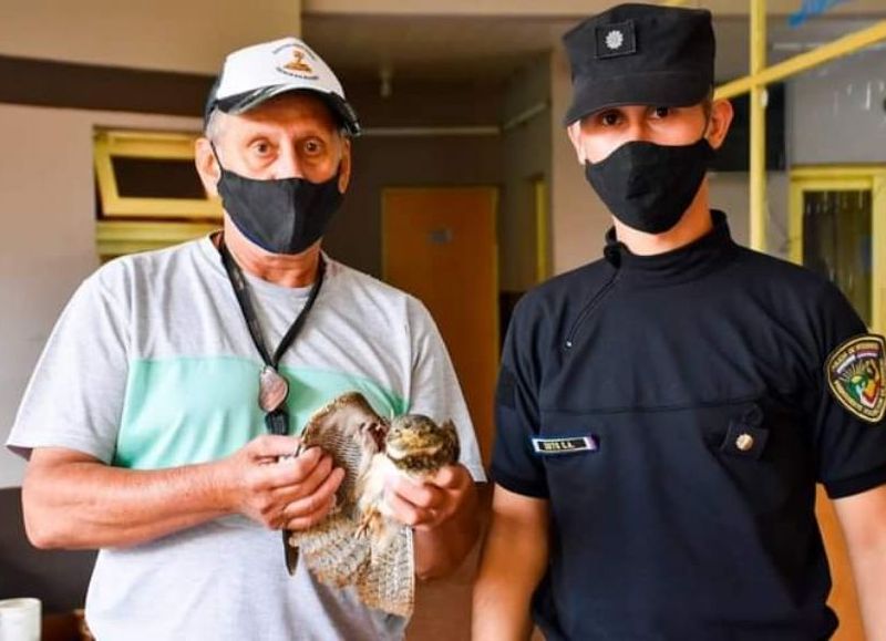 Resguardaron a un ave exótica encontrada en el barrio Néstor Kirchner