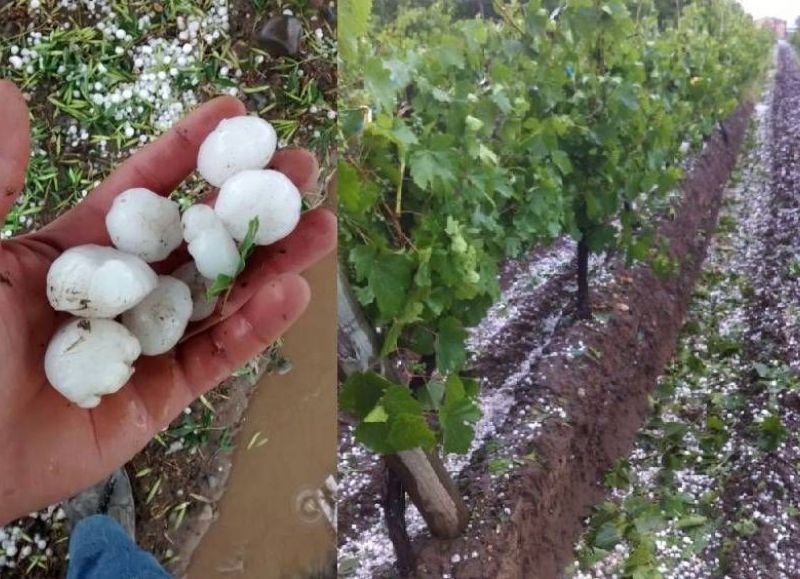 La Comisión de Desastres Agropecuarios recomienda declarar la emergencia agropecuaria en Entre Ríos