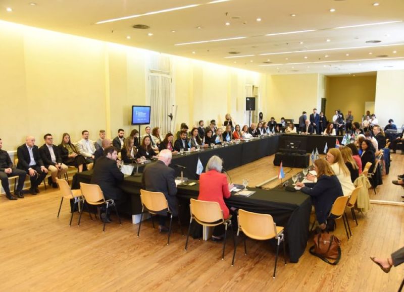 Entre Ríos participó de la 50° sesión del Consejo Federal de Niñez, Adolescencia y Familia