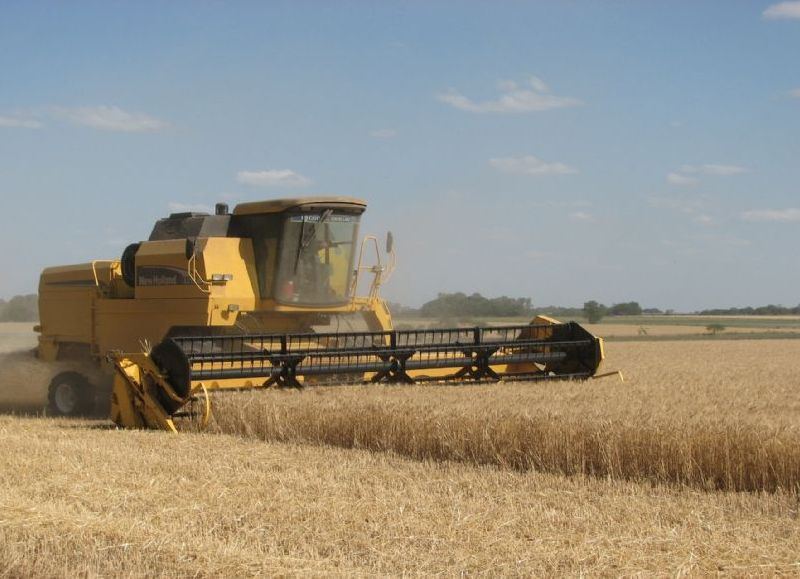 El volumen exportado por Entre Ríos creció un 19 por ciento en el primer bimestre de 2025