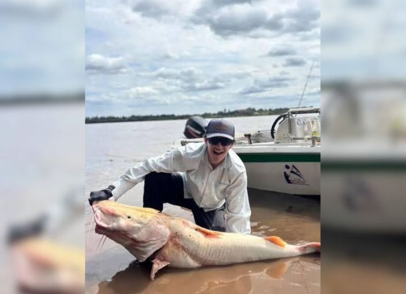 Asombro en Concordia: capturaron un surubí albino de 50 kilos y lo devolvieron al río Uruguay