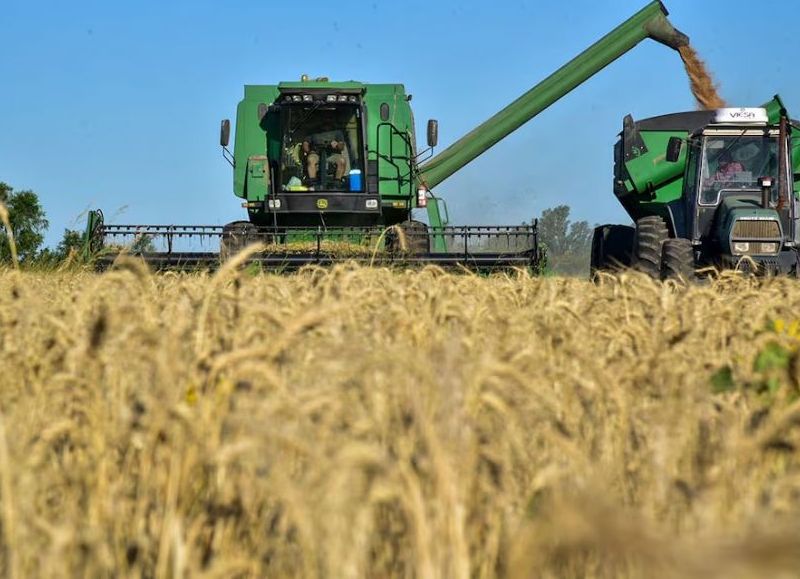En Entre Ríos los rindes históricos no cubren los costos actuales de la producción agraria