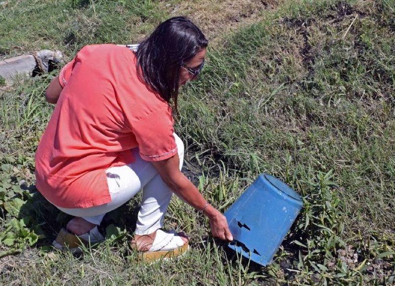Desde Salud instan a extremar las medidas preventivas para combatir al dengue tras las lluvias